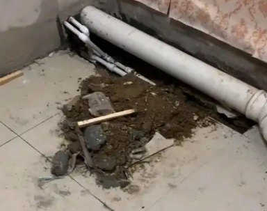 青州卫生间漏水检测哪家好