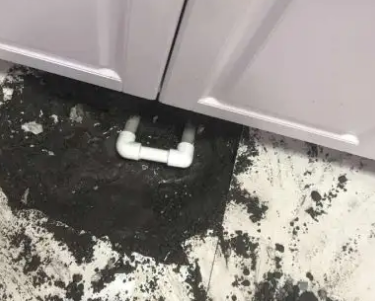 青州查漏水哪家好