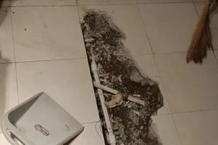 青州卫生间漏水检测电话